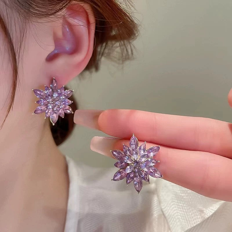Sparkle Stone Earings