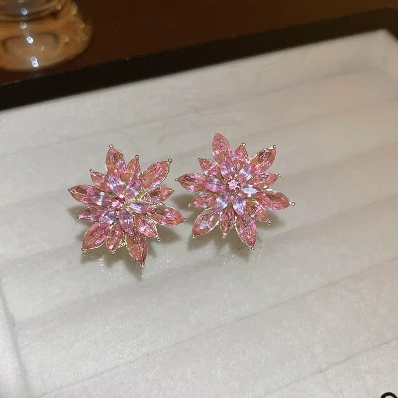 Sparkle Stone Earings